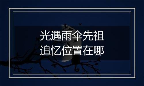 光遇雨伞先祖追忆位置在哪