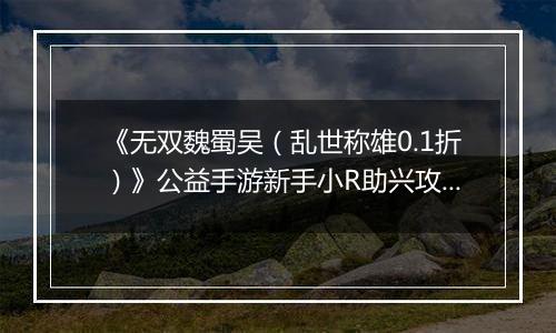 《无双魏蜀吴（乱世称雄0.1折）》公益手游新手小R助兴攻略