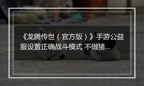 《龙腾传世（官方版）》手游公益服设置正确战斗模式 不做猪队友