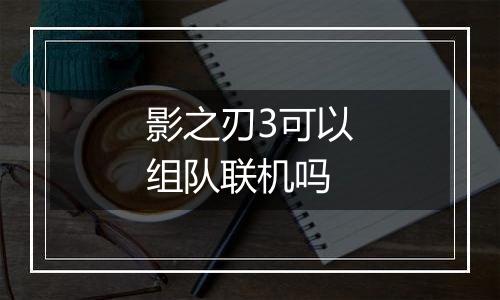 影之刃3可以组队联机吗