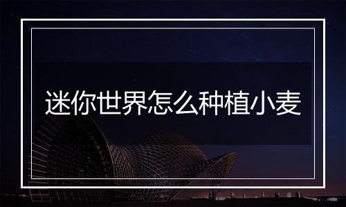 迷你世界怎么种植小麦