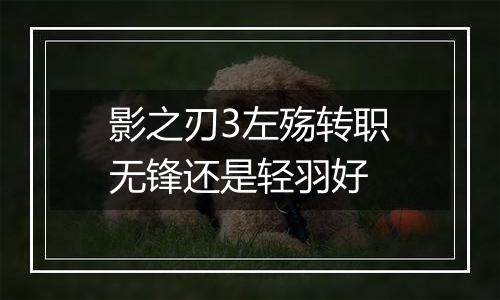 影之刃3左殇转职无锋还是轻羽好