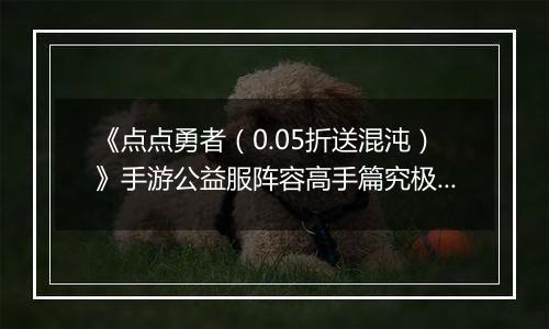 《点点勇者（0.05折送混沌）》手游公益服阵容高手篇究极篇