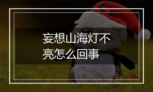 妄想山海灯不亮怎么回事