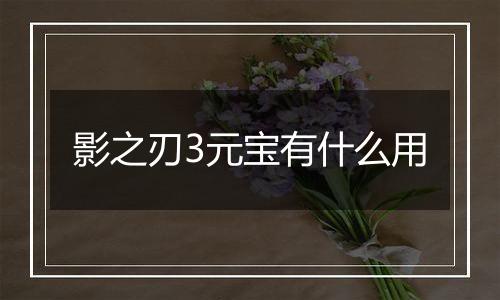 影之刃3元宝有什么用