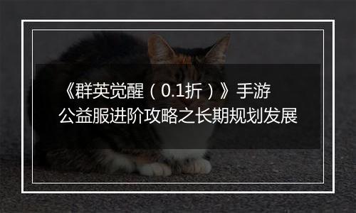 《群英觉醒（0.1折）》手游公益服进阶攻略之长期规划发展