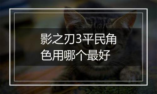 影之刃3平民角色用哪个最好