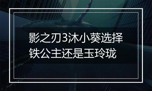 影之刃3沐小葵选择铁公主还是玉玲珑