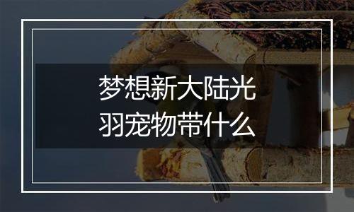 梦想新大陆光羽宠物带什么