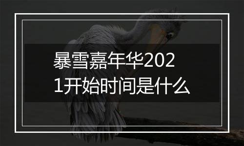 暴雪嘉年华2021开始时间是什么