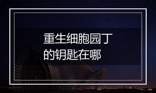 重生细胞园丁的钥匙在哪