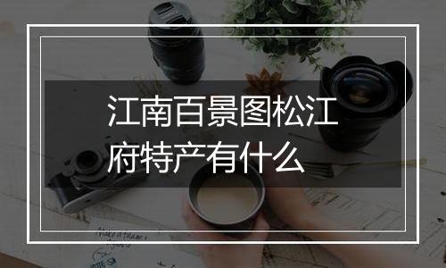 江南百景图松江府特产有什么