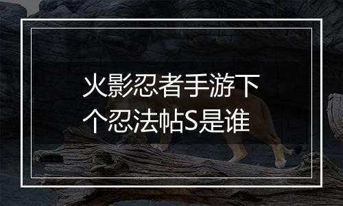 火影忍者手游下个忍法帖S是谁