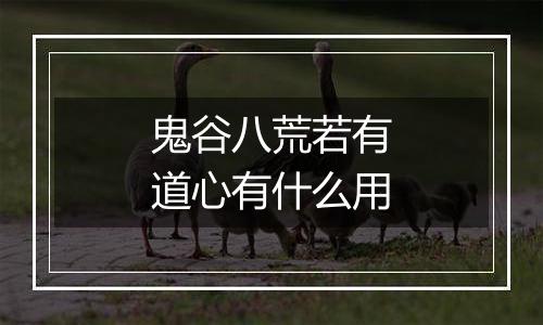 鬼谷八荒若有道心有什么用