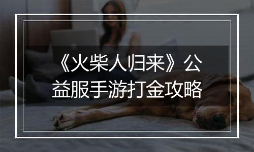 《火柴人归来》公益服手游打金攻略