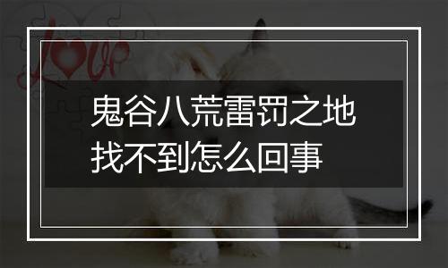 鬼谷八荒雷罚之地找不到怎么回事