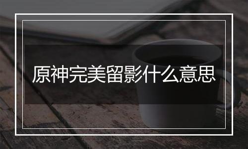 原神完美留影什么意思