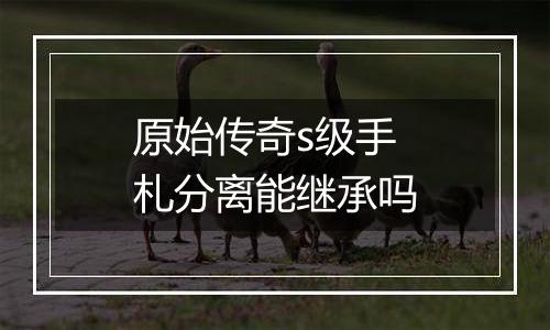 原始传奇s级手札分离能继承吗