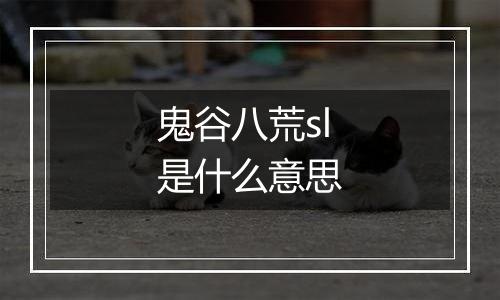 鬼谷八荒sl是什么意思