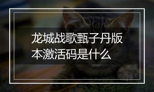 龙城战歌甄子丹版本激活码是什么