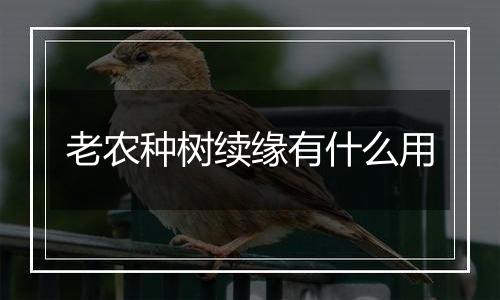 老农种树续缘有什么用