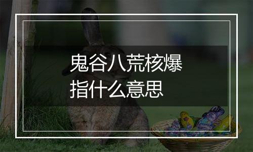 鬼谷八荒核爆指什么意思