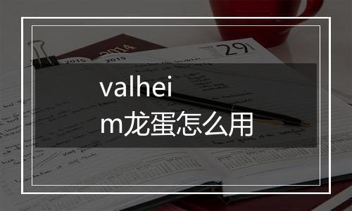 valheim龙蛋怎么用