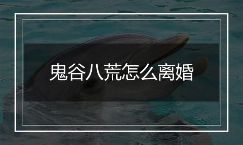 鬼谷八荒怎么离婚