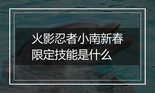 火影忍者小南新春限定技能是什么