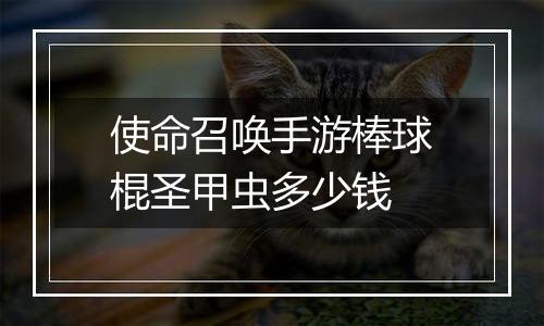 使命召唤手游棒球棍圣甲虫多少钱