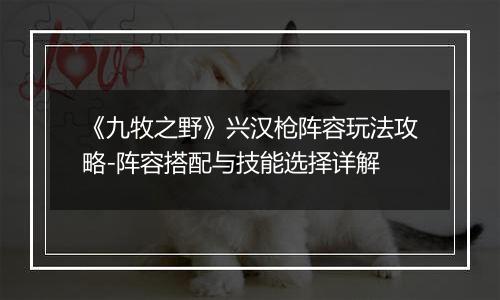 《九牧之野》兴汉枪阵容玩法攻略-阵容搭配与技能选择详解