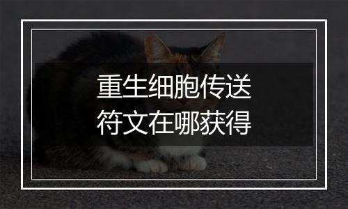 重生细胞传送符文在哪获得