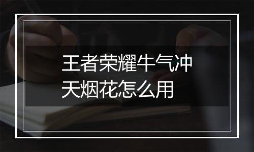 王者荣耀牛气冲天烟花怎么用