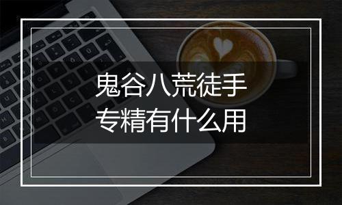 鬼谷八荒徒手专精有什么用