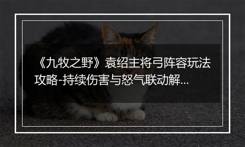 《九牧之野》袁绍主将弓阵容玩法攻略-持续伤害与怒气联动解析
