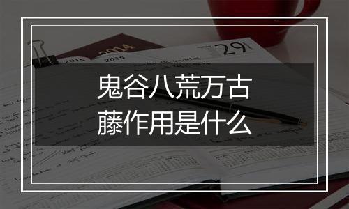 鬼谷八荒万古藤作用是什么