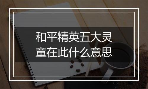 和平精英五大灵童在此什么意思