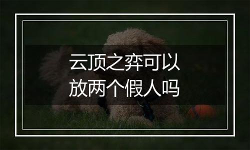 云顶之弈可以放两个假人吗