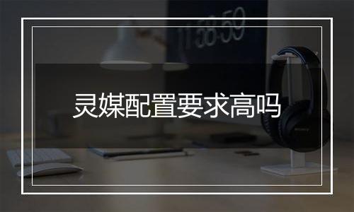 灵媒配置要求高吗