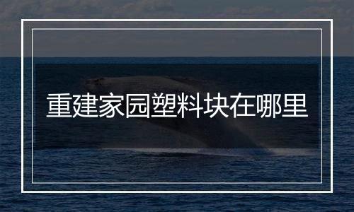 重建家园塑料块在哪里