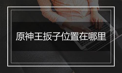 原神王扳子位置在哪里