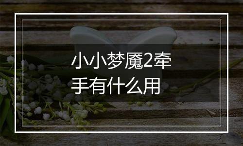 小小梦魇2牵手有什么用