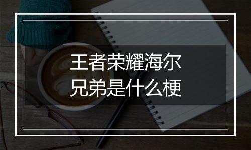 王者荣耀海尔兄弟是什么梗