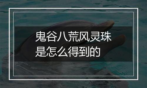 鬼谷八荒风灵珠是怎么得到的