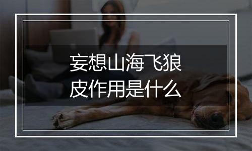 妄想山海飞狼皮作用是什么
