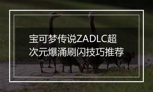 宝可梦传说ZADLC超次元爆涌刷闪技巧推荐