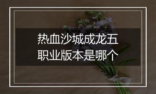 热血沙城成龙五职业版本是哪个