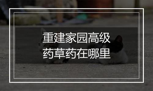 重建家园高级药草药在哪里