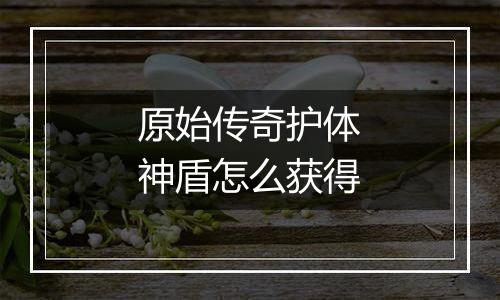原始传奇护体神盾怎么获得