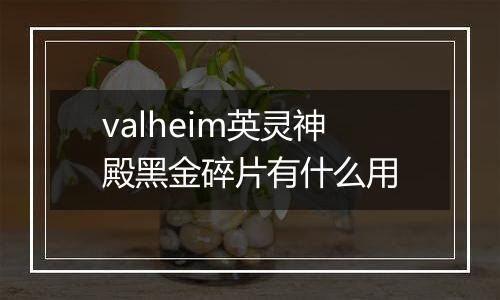 valheim英灵神殿黑金碎片有什么用